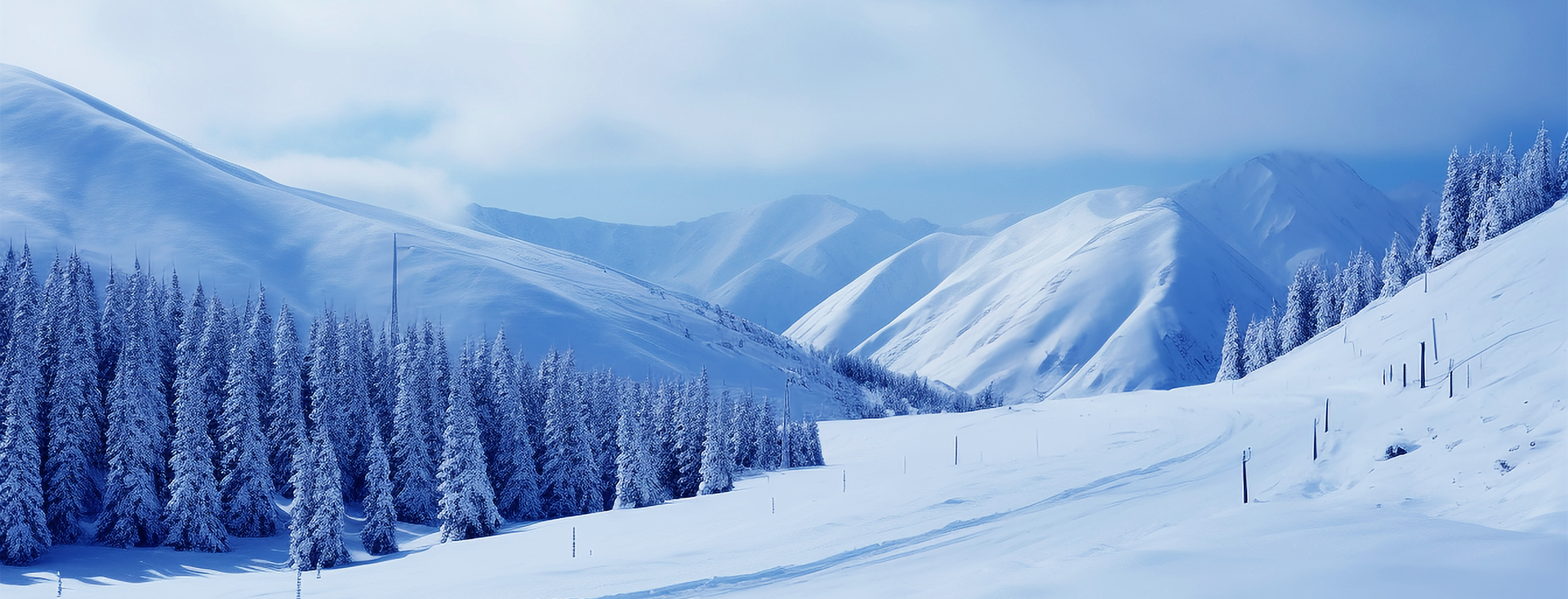 Z6���������й����ٷ���վ