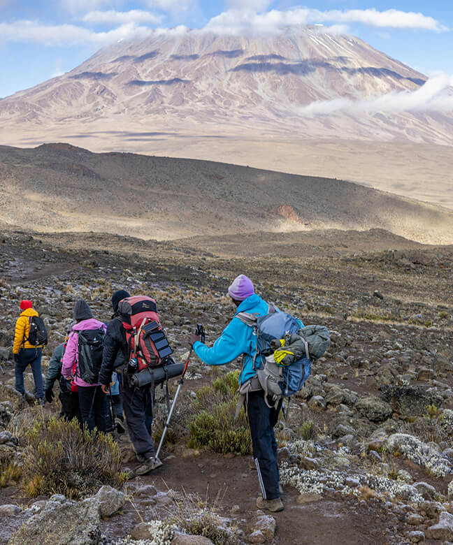 Z6���������й����ٷ���վ